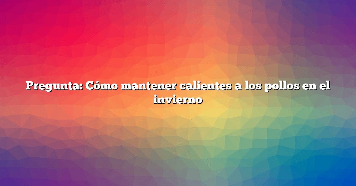 Pregunta: Cómo mantener calientes a los pollos en el invierno