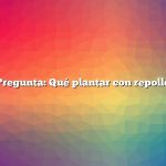 Pregunta: Qué plantar con repollo
