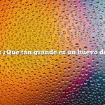 Pregunta: ¿Qué tan grande es un huevo de gallina?