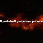 Qual è il periodo di gestazione per un coniglio