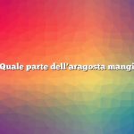 Quale parte dell’aragosta mangi