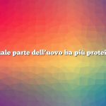 Quale parte dell’uovo ha più proteine