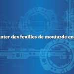 Quand planter des feuilles de moutarde en Louisiane