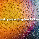 Quando piantare fragole nel Missouri