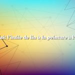 Que fait l’huile de lin à la peinture à l’huile