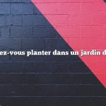 Que pouvez-vous planter dans un jardin d’automne