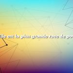 quelle est la plus grande race de poulet