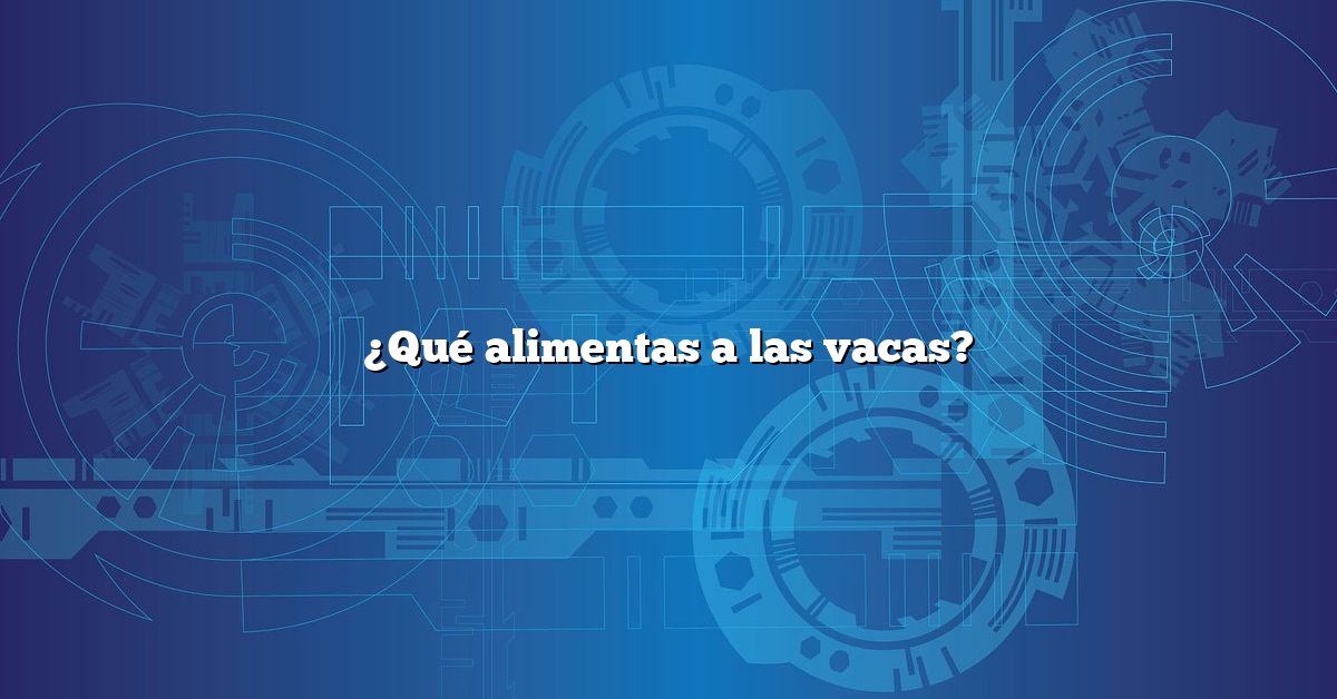 ¿Qué alimentas a las vacas?