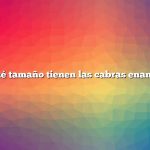 ¿Qué tamaño tienen las cabras enanas?