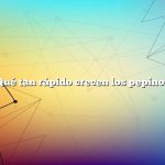 ¿Qué tan rápido crecen los pepinos?