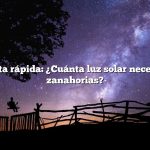 Respuesta rápida: ¿Cuánta luz solar necesitan las zanahorias?