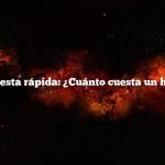 Respuesta rápida: ¿Cuánto cuesta un huevo?