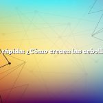 Respuesta rápida: ¿Cómo crecen las cebollas verdes?