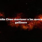 Respuesta rápida: Cómo mantener a las moscas alejadas del gallinero