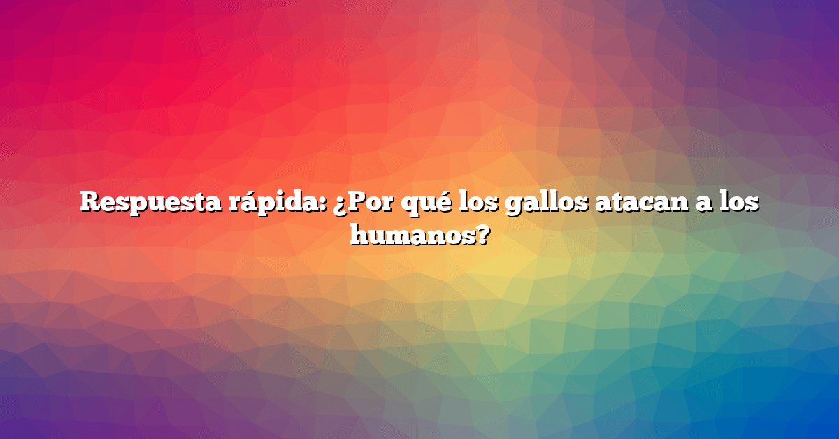 Respuesta rápida: ¿Por qué los gallos atacan a los humanos?