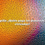 Respuesta rápida: ¿Quién paga los proyectos de rescate de viviendas?