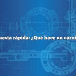 Respuesta rápida: ¿Qué hace un carnicero?