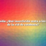 Respuesta rápida: ¿Qué insecticida mata a los barrenadores de la vid de calabaza?