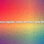 Risposta rapida: come avviare una fattoria