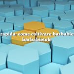 Risposta rapida: come coltivare barbabietole dalle barbabietole