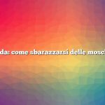 Risposta rapida: come sbarazzarsi delle mosche nel pollaio