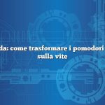 Risposta rapida: come trasformare i pomodori verdi in rosso sulla vite