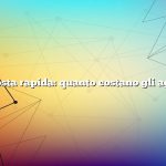 Risposta rapida: quanto costano gli agnelli