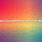 à quoi ressemblent les poivrons doux