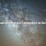 Come disidratare i pomodori in forno