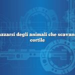 Come sbarazzarsi degli animali che scavano buche nel cortile