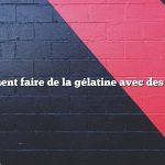 comment faire de la gélatine avec des fruits