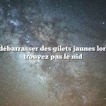 Comment se débarrasser des gilets jaunes lorsque vous ne trouvez pas le nid