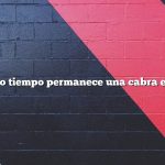 ¿Cuánto tiempo permanece una cabra en celo?