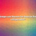 ¿Cuánto tiempo son buenos los huevos frescos en el refrigerador?