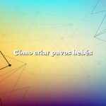 Cómo criar pavos bebés