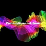 Cómo cultivar col china