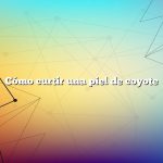 Cómo curtir una piel de coyote