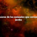 Cómo deshacerse de los animales que cavan hoyos en el jardín