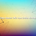 Cómo hacer tofu con leche de soya