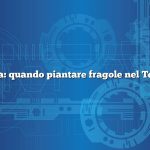 Domanda: quando piantare fragole nel Tennessee