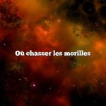 Où chasser les morilles