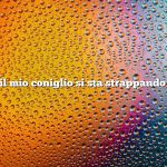 Perché il mio coniglio si sta strappando il pelo?