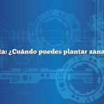 Pregunta: ¿Cuándo puedes plantar zanahorias?