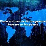 Pregunta: Cómo deshacerse de los gusanos postes de barbero en los pastos