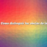 Pregunta: Cómo distinguir las abejas de las avispas