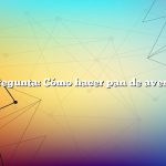 Pregunta: Cómo hacer pan de avena