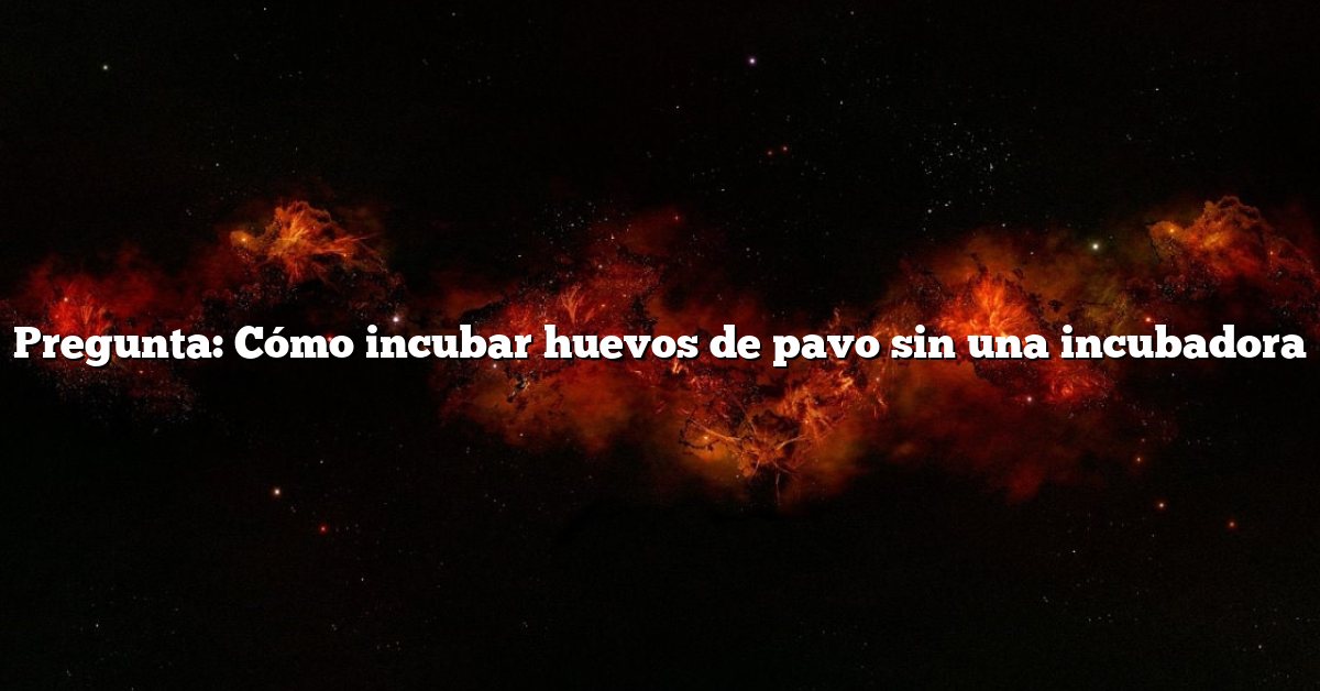 Pregunta: Cómo incubar huevos de pavo sin una incubadora