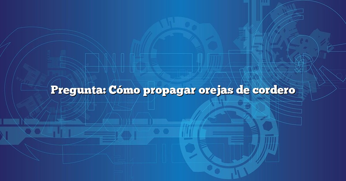 Pregunta: Cómo propagar orejas de cordero