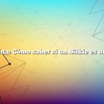 Pregunta: Cómo saber si un Silkie es un gallo