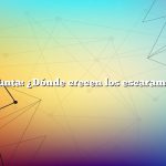 Pregunta: ¿Dónde crecen los escaramujos?